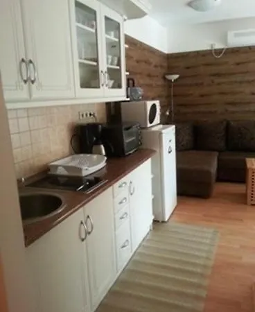 Apartament In Siofok/balaton 19806 *